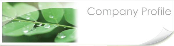 Дޮ‰ïŽÐ‚“cH–±“XE‰ïŽÐŠT—v